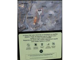 photo coins arrondis