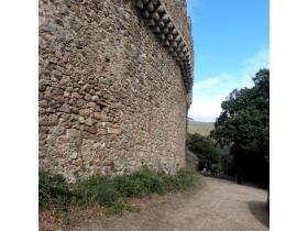 photo coins arrondis