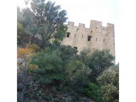 photo coins arrondis