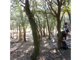 photo coins arrondis