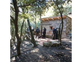 photo coins arrondis