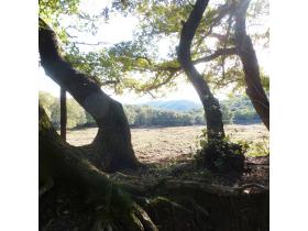 photo coins arrondis