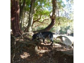 photo coins arrondis