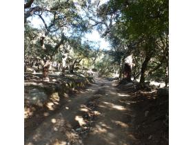 photo coins arrondis