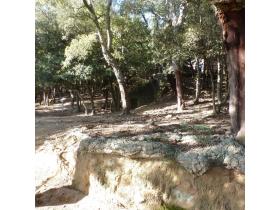 photo coins arrondis