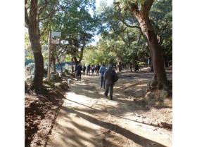 photo coins arrondis