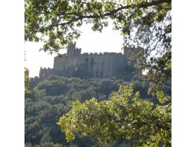 photo coins arrondis