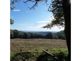 photo coins arrondis