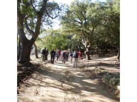 photo coins arrondis