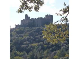 photo coins arrondis