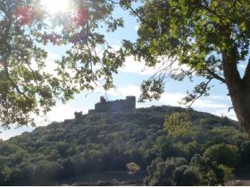 photo coins arrondis