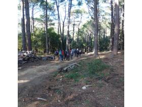 photo coins arrondis