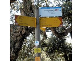 photo coins arrondis