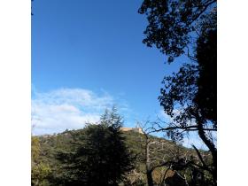 photo coins arrondis