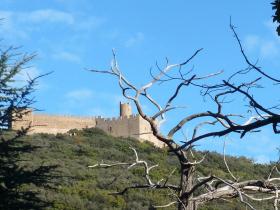 photo coins arrondis