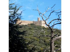 photo coins arrondis