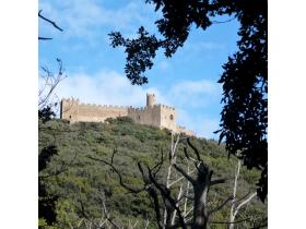 photo coins arrondis