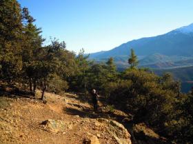 photo coins arrondis