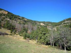 photo coins arrondis