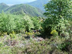 photo coins arrondis