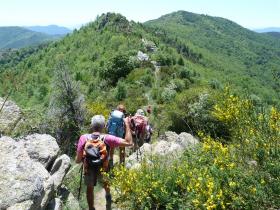 photo coins arrondis