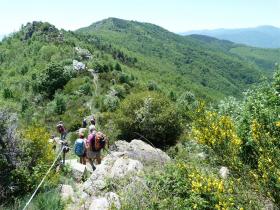 photo coins arrondis