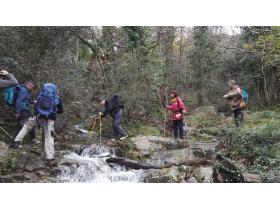 lien extene lien_externe