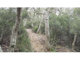 photo coins arrondis