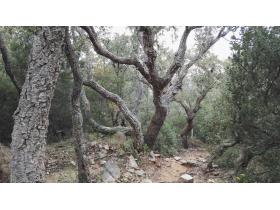 photo coins arrondis