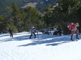 photo coins arrondis