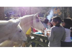 photo coins arrondis