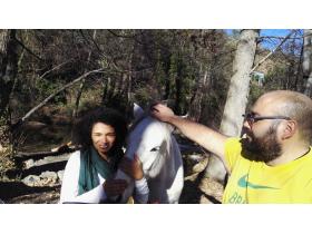 photo coins arrondis