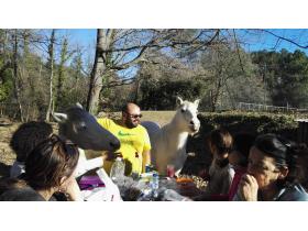 photo coins arrondis