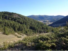 photo coins arrondis