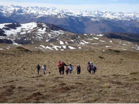 photo coins arrondis