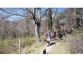 lien extene lien_externe