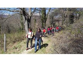 lien extene lien_externe