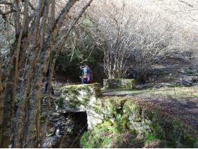 photo coins arrondis