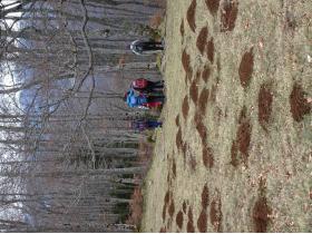 photo coins arrondis