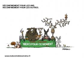 lien extene lien_externe