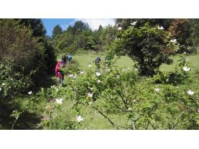 photo coins arrondis