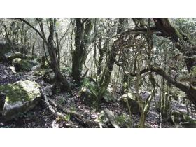 photo coins arrondis