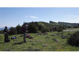 photo coins arrondis