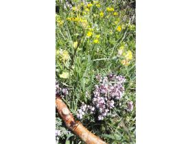 photo coins arrondis