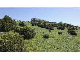 photo coins arrondis