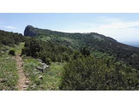 photo coins arrondis