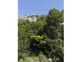 photo coins arrondis