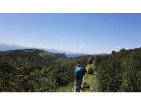 photo coins arrondis