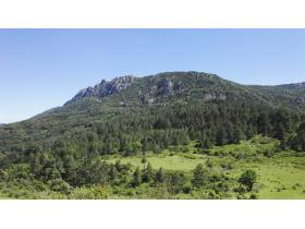 photo coins arrondis