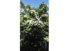 photo coins arrondis